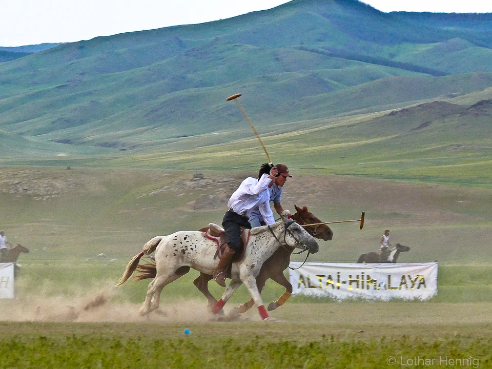 LH-Mongolian-Polo-06